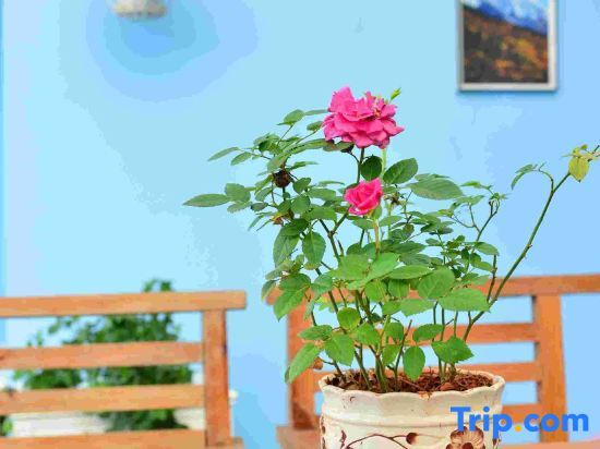 Jianqiao Hotel in Yisa, People's Republic of China