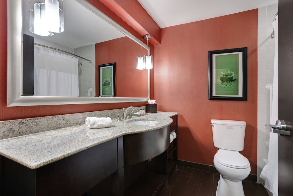 Crowne Plaza Houston Galleria Area by IHG - photo 15