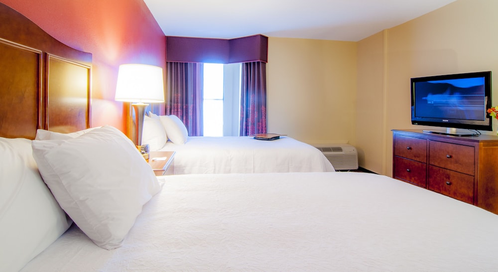Hampton Inn & Suites Tampa North - photo 7