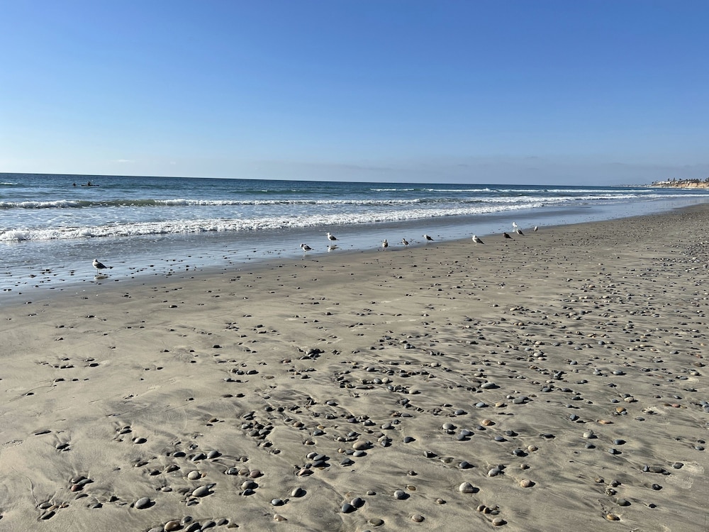 Holiday Inn Carlsbad by IHG - photo 91