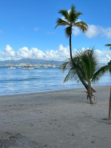 Sunny Trois Ilets Avec Piscine Plage in Les Trois-Ilets, Martinique