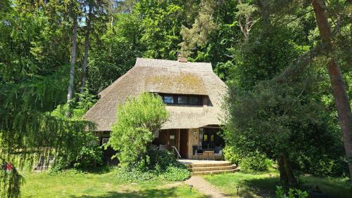 Reethus Mandy — Sassnitz