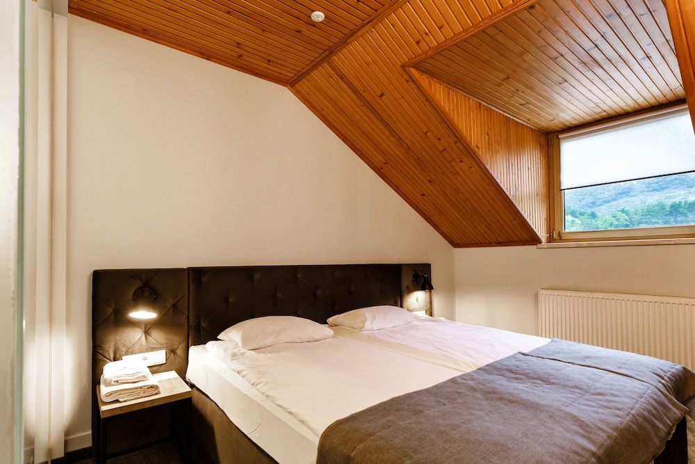 Voevodyno Resort — Perechyn — photo 4
