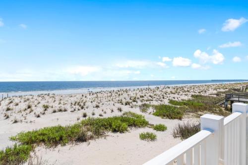 Shore Enuff - photo 28