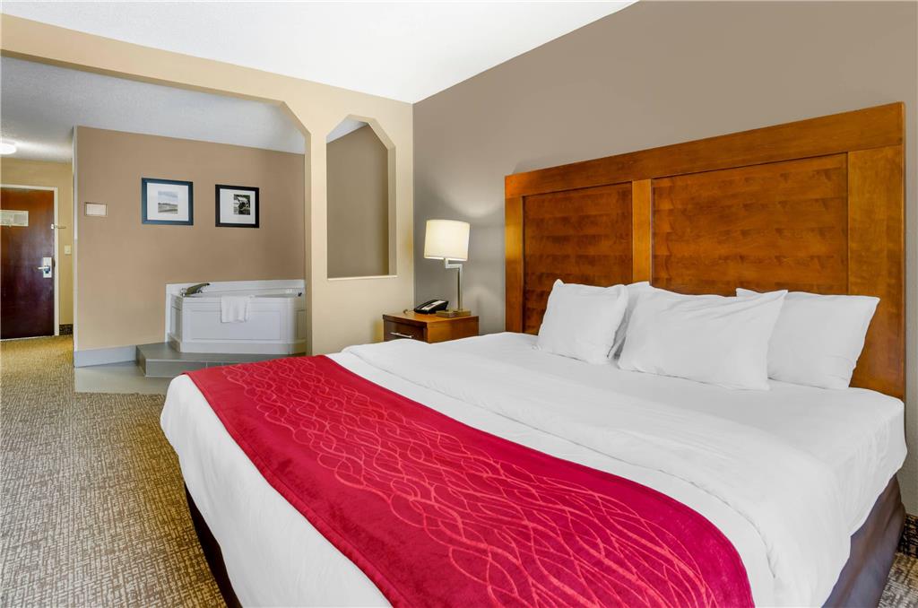 Comfort Inn & Suites Christiansburg I 81 - photo 16