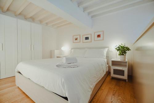 Petramare — 4-Star Luxury Hotel in Pietrasanta, Italy