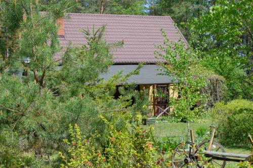 Gospodarstwo agroturystyczne nad jeziorem wśród lasów — hotel in Lipnica