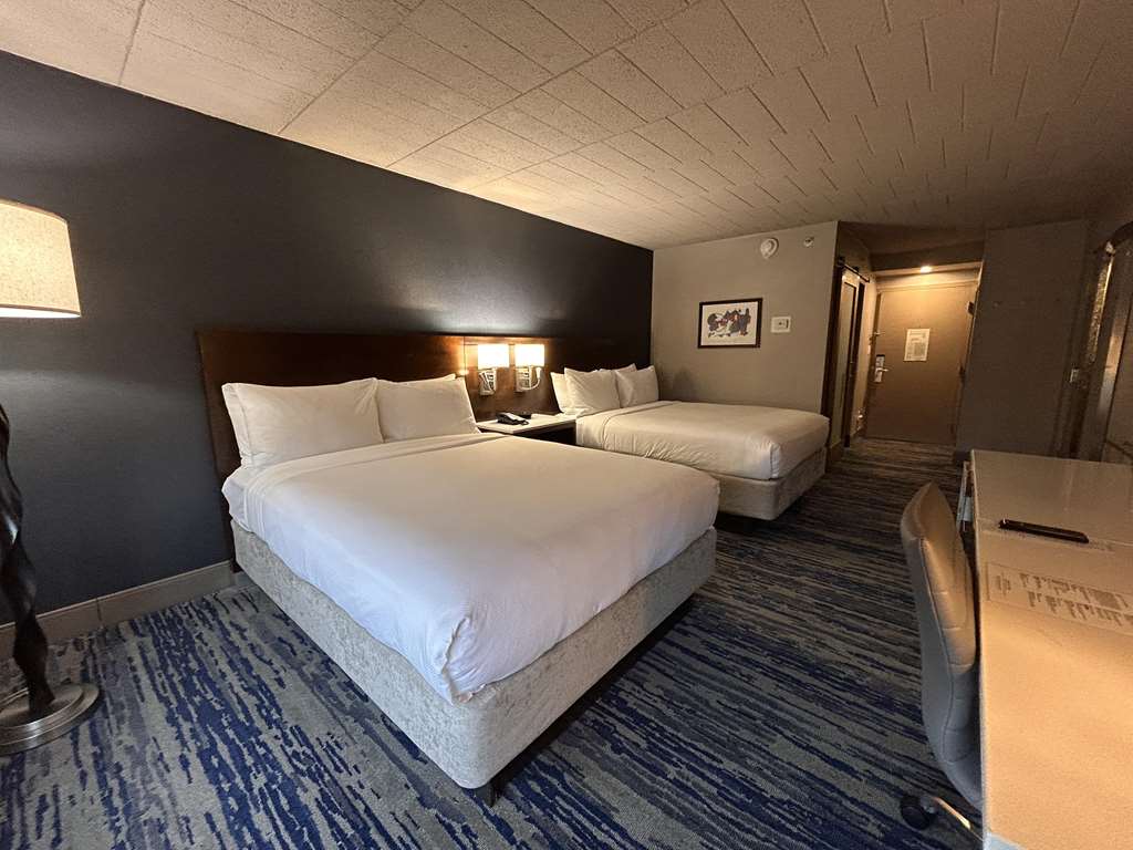 Skyline Hotel Detroit Airport SureStay Collection by BW - photo 35