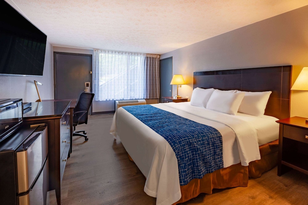 Travelodge By Wyndham Charles Town Harpers Ferry - photo 14