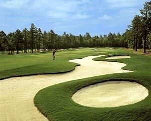 Talamore Resort - photo 7