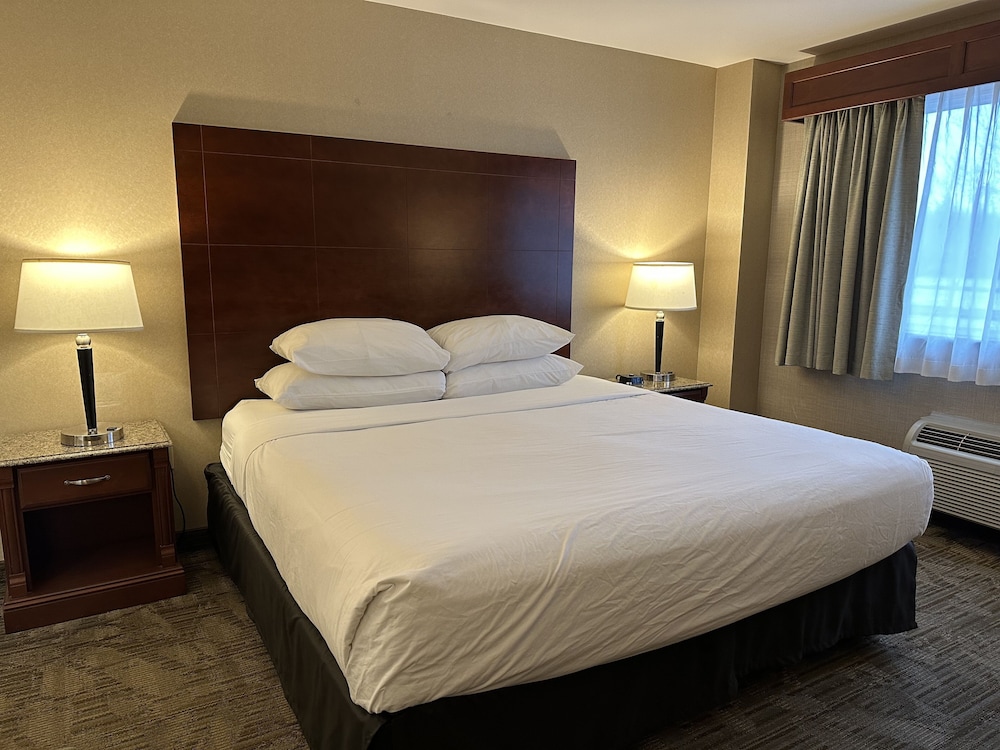 Medallion Inn & Suites - photo 13