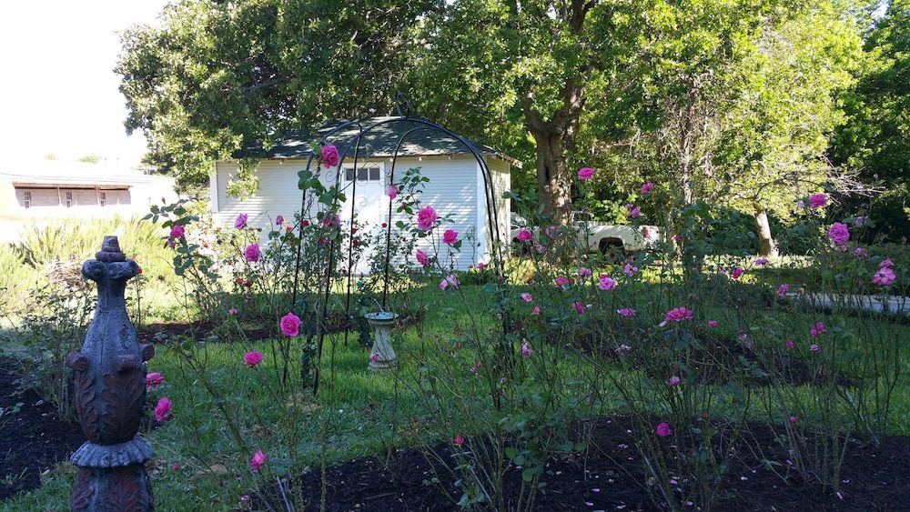 Fig Tree Manor - photo 33