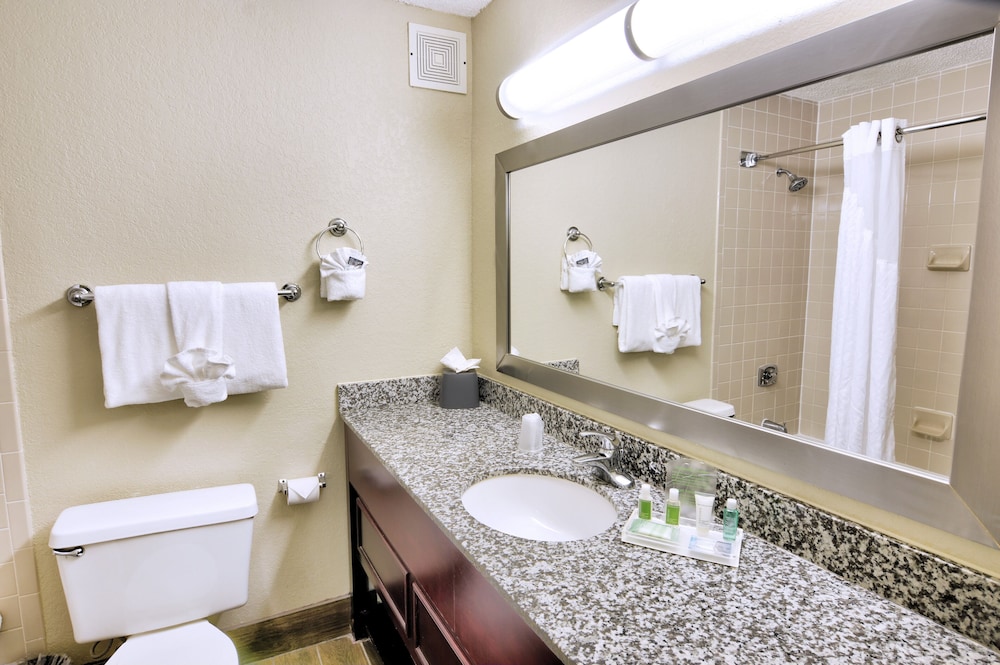 Holiday Inn St Petersburg N Clearwater by IHG - photo 24
