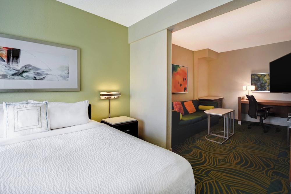 SpringHill Suites by Marriott Baltimore BWI Airport - photo 11