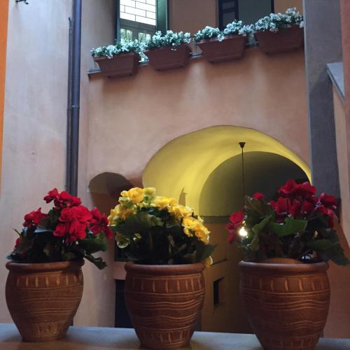 Casa di Emanuela — Spello — photo 5
