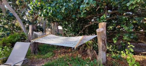 Oasis on Siesta Key in Sarasota, United States