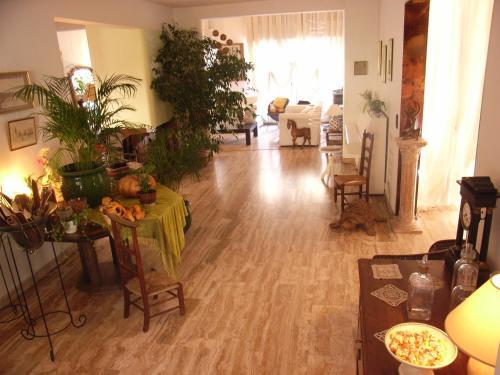 Caza Sereyna in Avignon, France