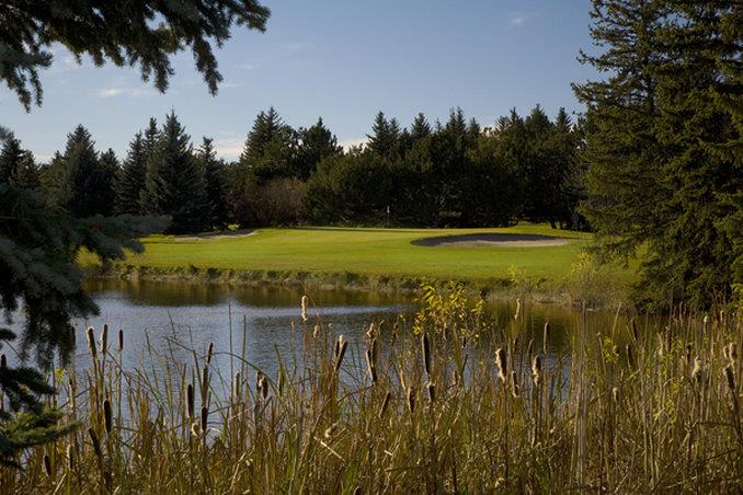 Little America Cheyenne - photo 5