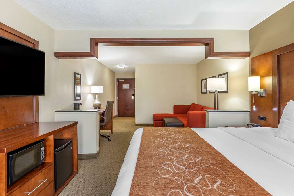 Comfort Suites Grand Rapids North - photo 13