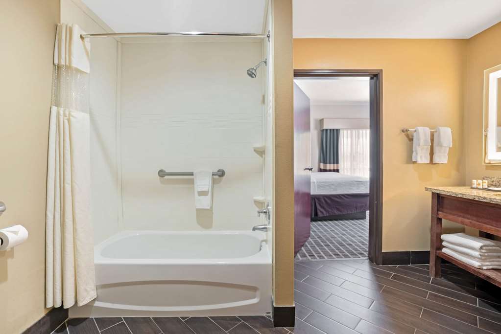 La Quinta by Wyndham Houston Willowbrook Vintage Park - photo 20