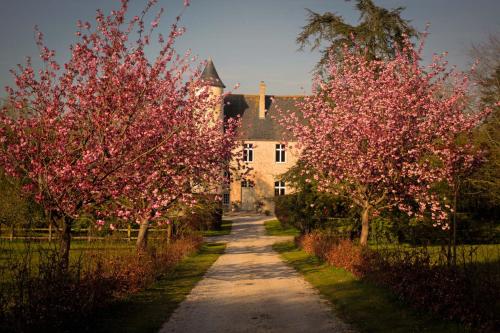 Chateau De Monfreville - last minute hotel in Unknown City