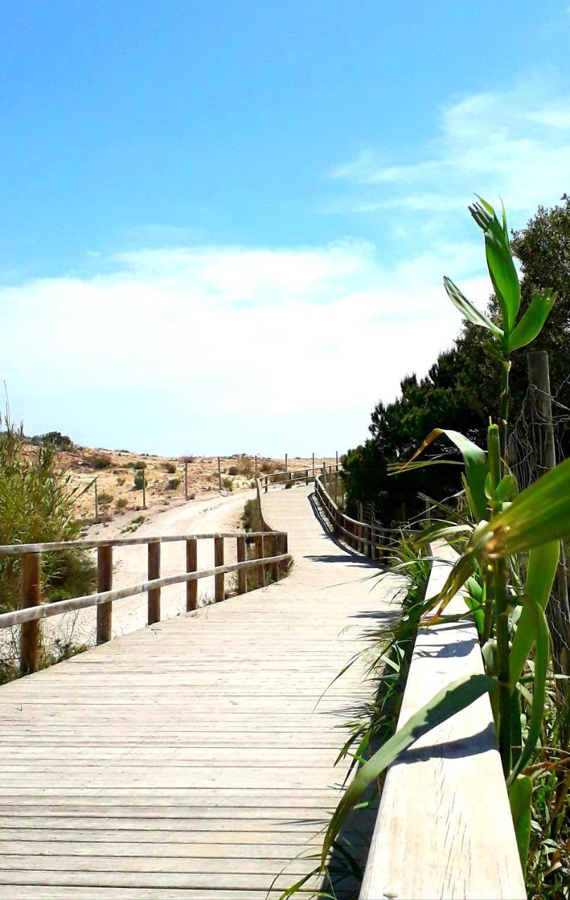 La Morada — Santa Pola — photo 5