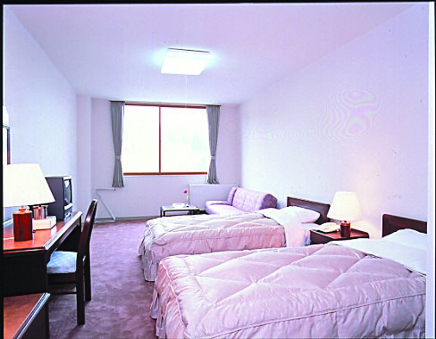 Shiratori Kogen Hotel — Sekimachi — photo 4