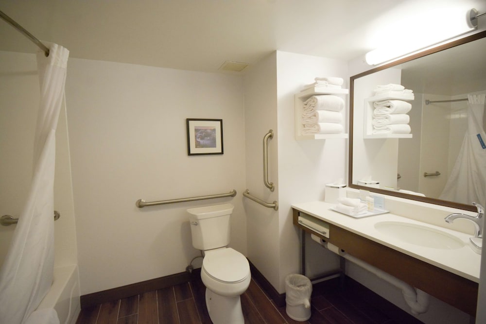 Hampton Inn Salem East Electric Road - photo 29