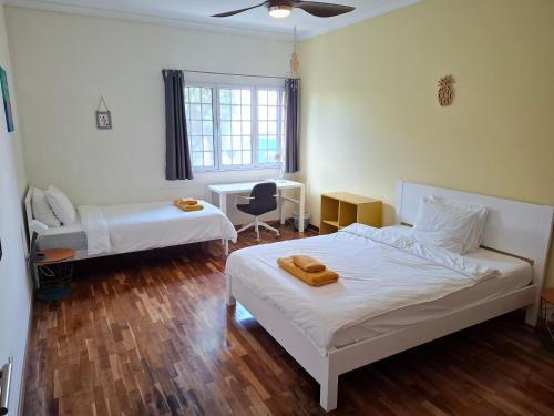 LAVA Açores Coliving & Coworking in Ribeira Grande, Portugal