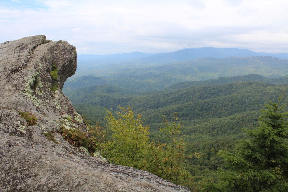 Blowing Rock Inn - photo 49