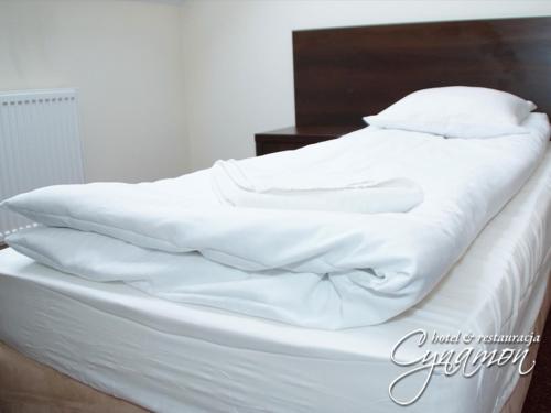 Hotel Cynamon — hotel in Tokarnia