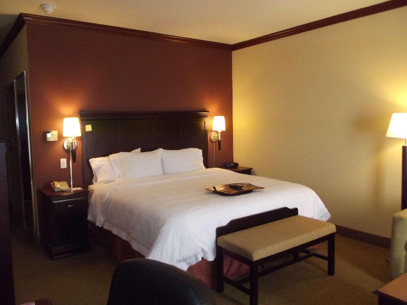 Hampton Inn & Suites Gainesville - photo 20