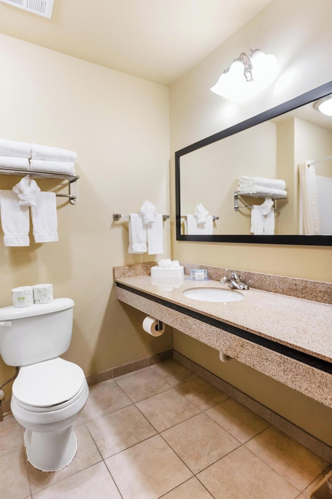 Cobblestone Hotel & Suites Knoxville - photo 31