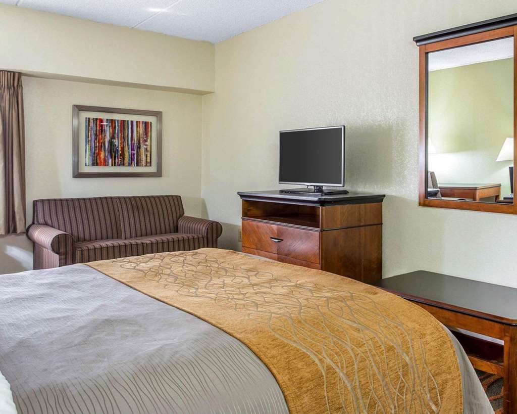Comfort Inn Conyers - photo 14