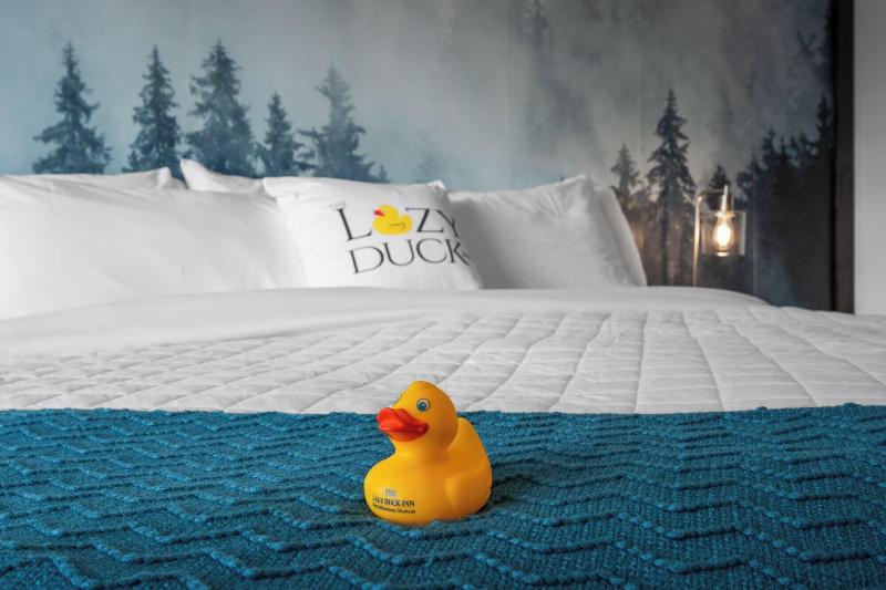 The Lazy Duck Inn - photo 102