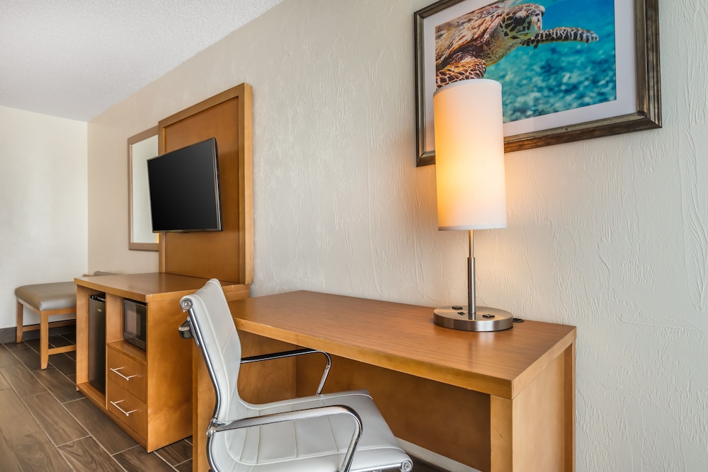 Tropical Winds Oceanfront Hotel - photo 54