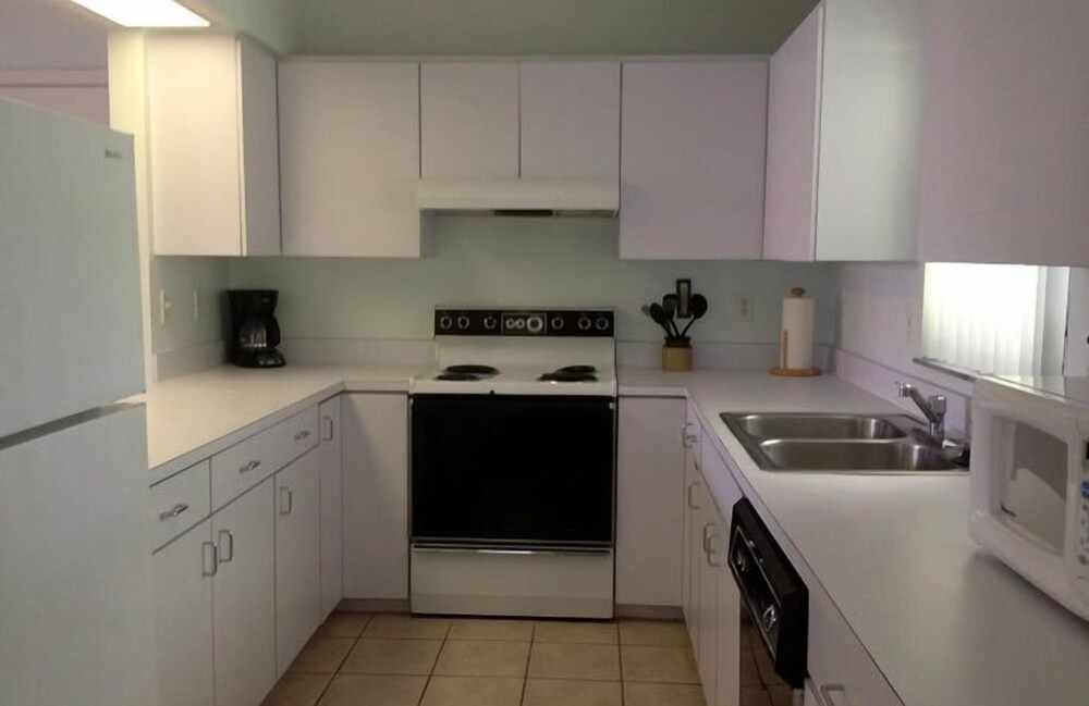 Palm Terrace - photo 20