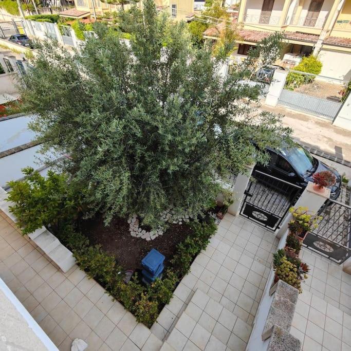 Honey Fede in Taranto, Italy