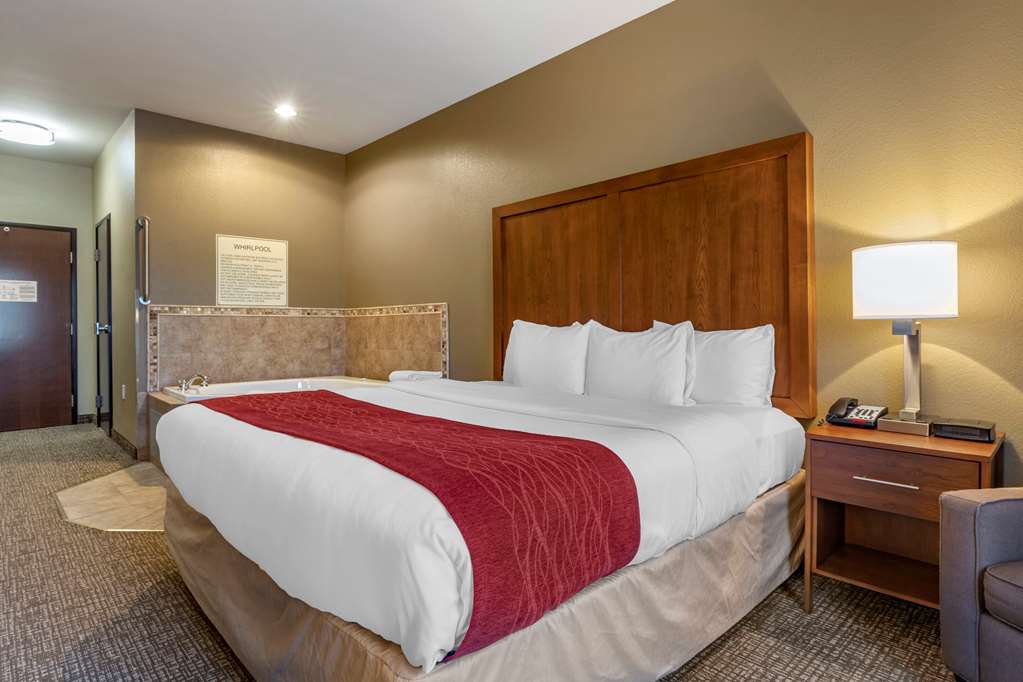 Comfort Inn & Suites Russellville I 40 - photo 26