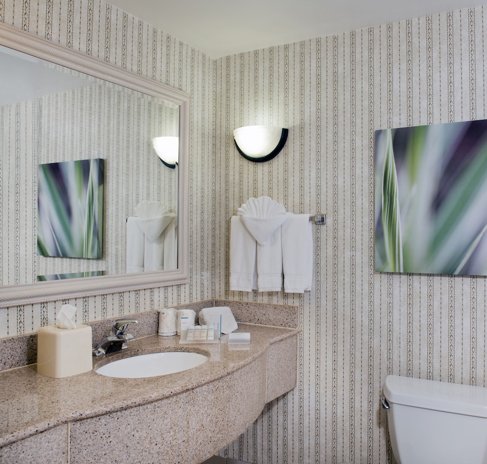 Hilton Garden Inn Charlotte Pineville - photo 16