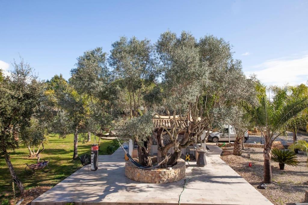 Casa Petit Paraiso — 4-Star Luxury Hotel in Lagoa, Portugal