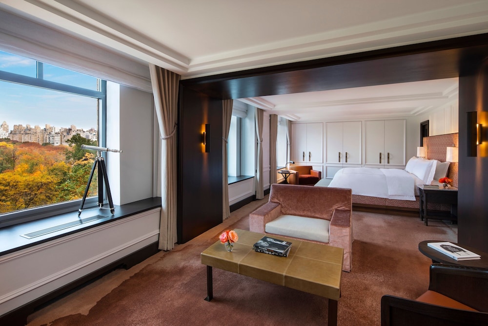 The Ritz Carlton New York Central Park - photo 27