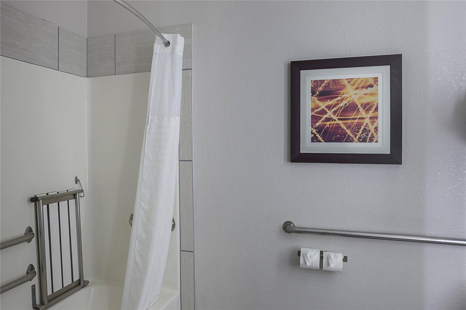 Comfort Suites Lewisville Dallas - photo 20