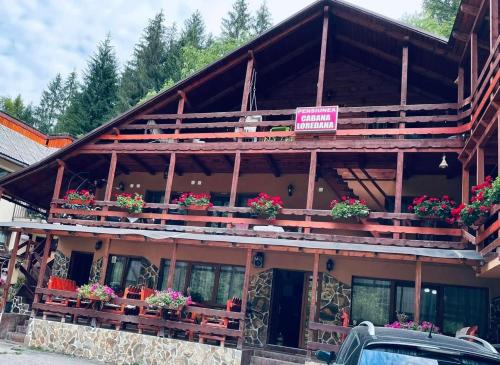 Cabana Loredana — hotel in Vadu Motilor