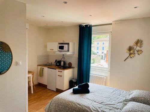 Studio Charles de Gaulle IV in Castres, France