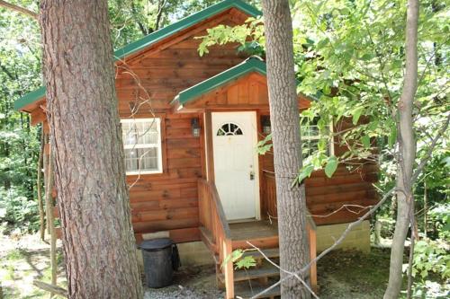 Jack Pine Hollow — Logan — photo 3
