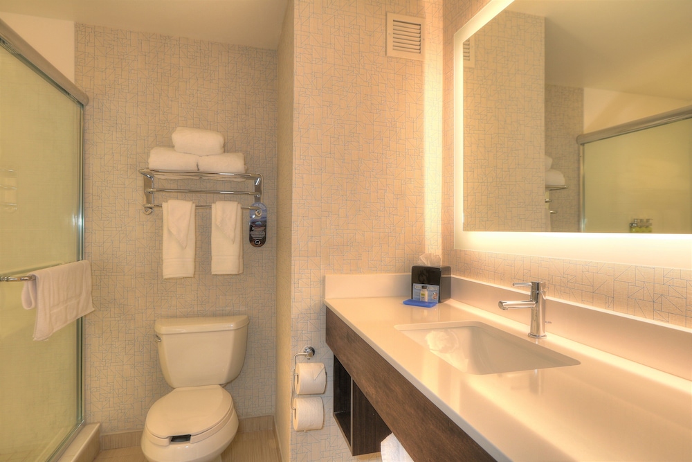 Holiday Inn Express Hotel & Suites Mobile Saraland by IHG - photo 43