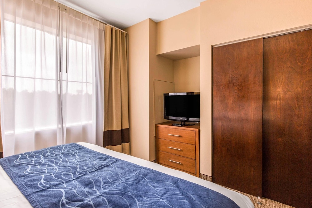 Comfort Inn & Suites IAH Bush Airport East - photo 12