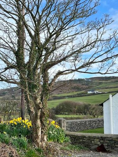 Gors Eilian — Amlwch — photo 5