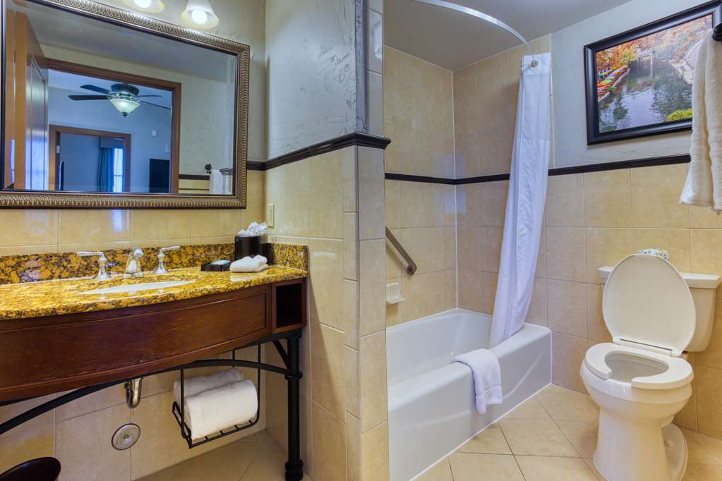 Drury Plaza Hotel San Antonio Riverwalk - photo 63